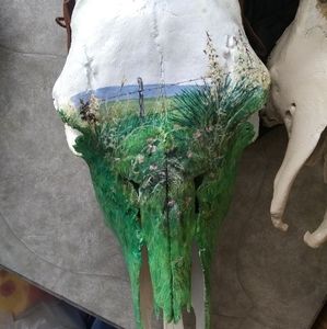 Handpainted cow skull